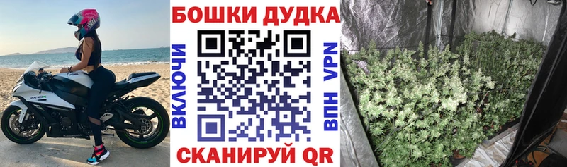 Где купить Краснообск Марихуана Alpha PVP ГАШ АМФ Cocaine